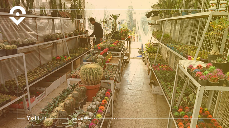 بازار گل محلاتی تهران؛ تکه‌ای از بهشت در تهران!