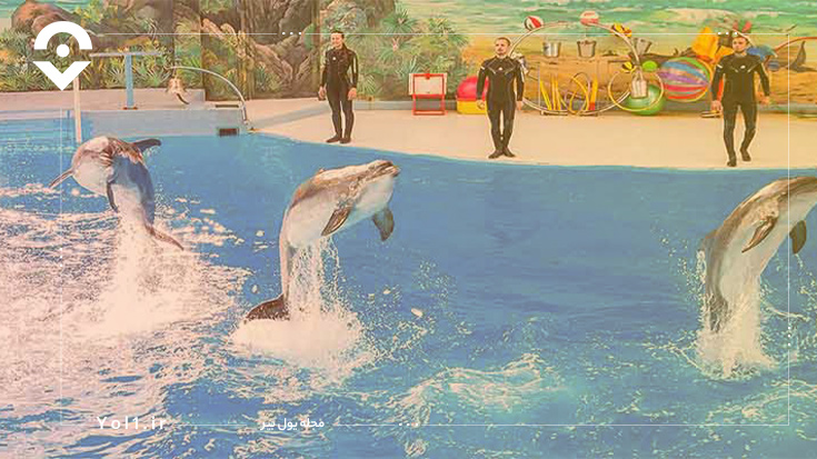 پارک دلفین‌ها کیش؛ اولین دلفیناریوم ایران!